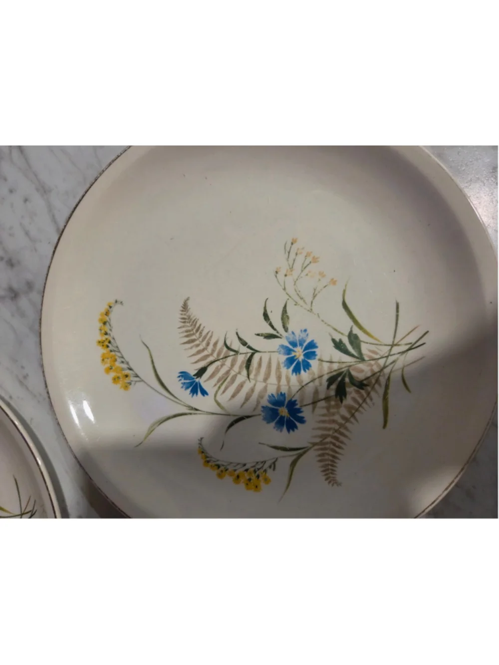 Paden City Pottery Floral Dinner Plate One Size Beige Blue
